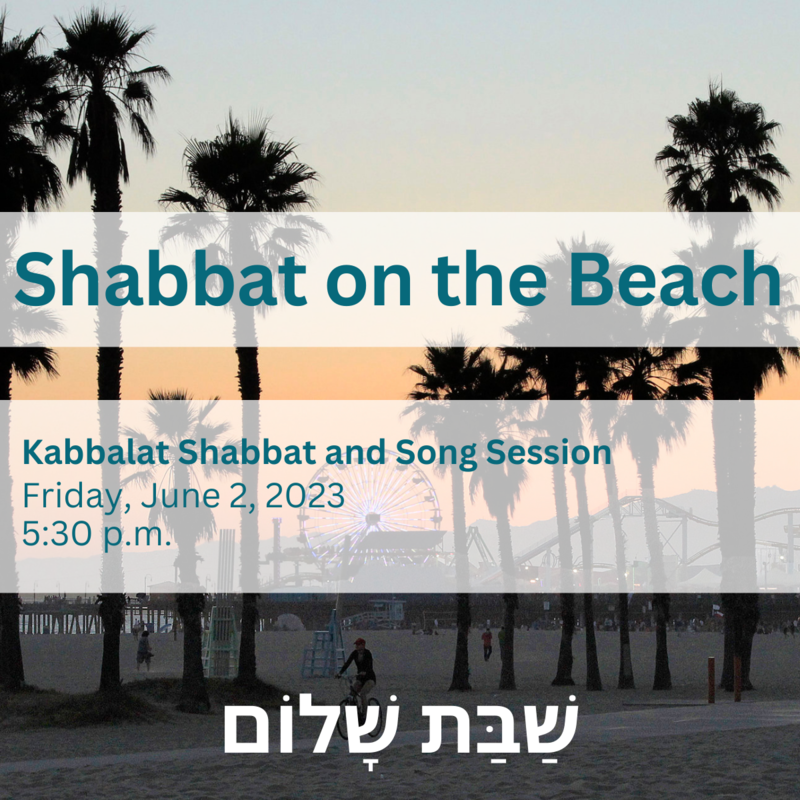 Community Shabbat on the Beach
