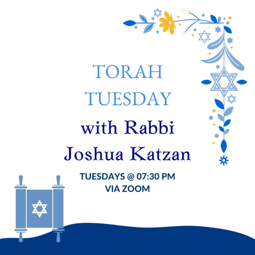 Banner Image for Torah Tuesday with Rabbi Joshua Katzan