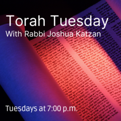 Banner Image for Torah Tuesday